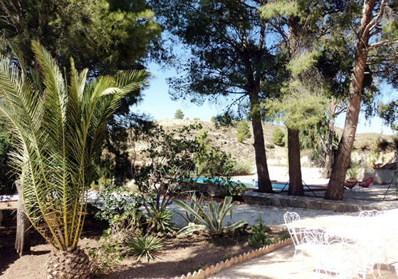 El Huerto de Maravillas.